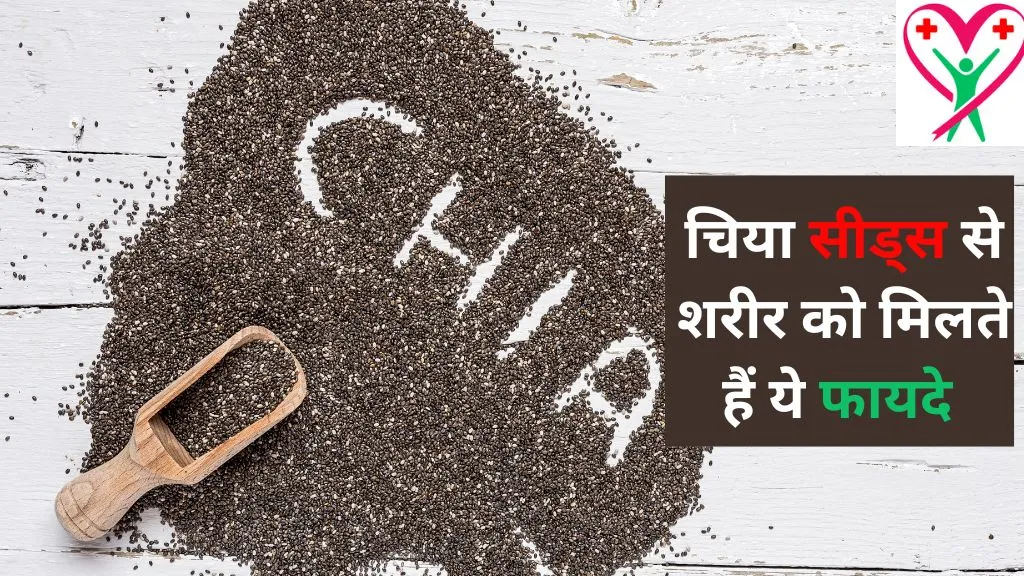 Chia Seeds in Hindi